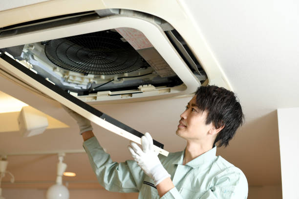 Best Home Air Vent Cleaning  in Haughton, LA